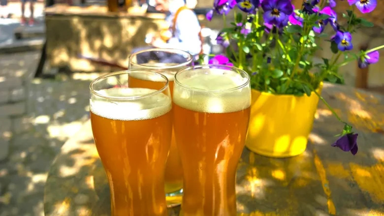 渋谷の貸切イベントスペースなら『渋谷ガーデンスペース道玄坂店』。ケータリングや飲み放題などがついて無料オプションも盛りだくさん！