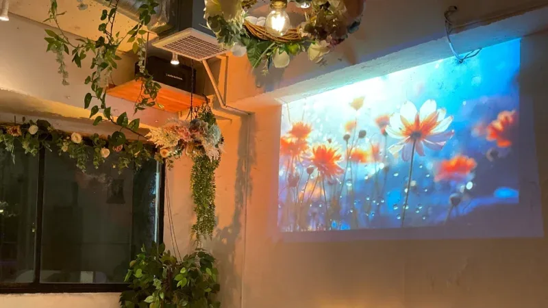 渋谷×貸切×ペット可パーティー×プロジェクター